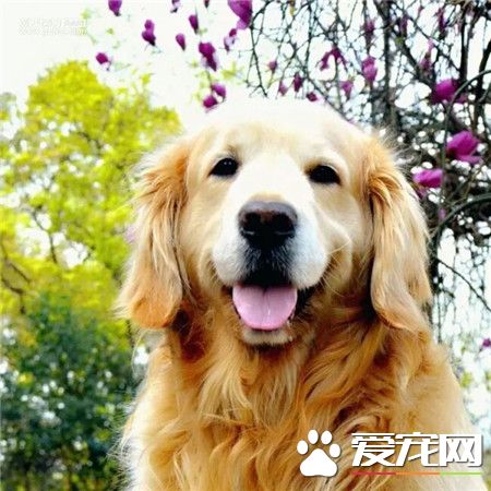 麻麻，夏天真的好热啊~