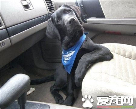 妹纸，欧巴有车，约吗？