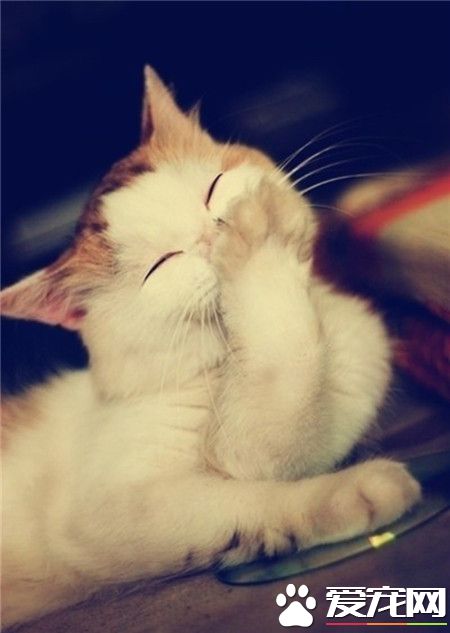 一个人独自笑的时候，那就是真心的笑了。