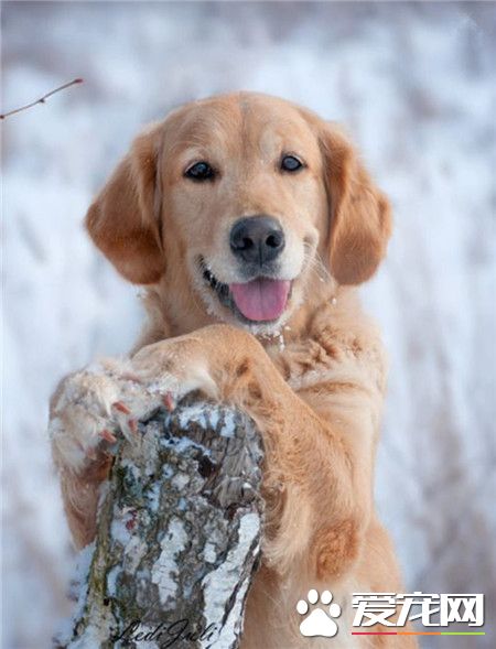 怎么样，伦家这个摆拍姿势是不是很优雅呢？