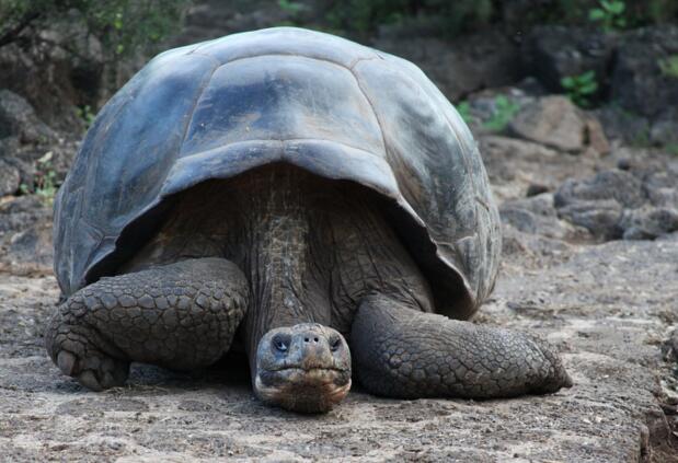 QQ截图20160804170619