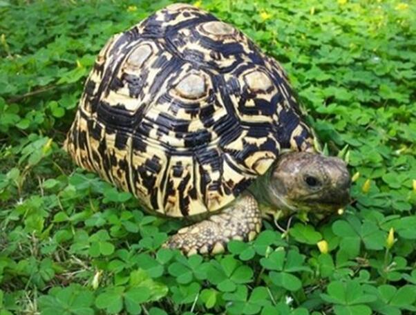 QQ截图20160804163902