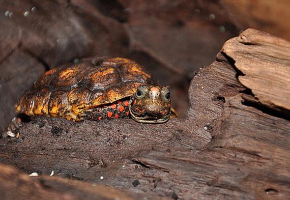 QQ截图20160804174255