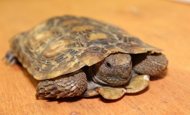 QQ截图20160805164817