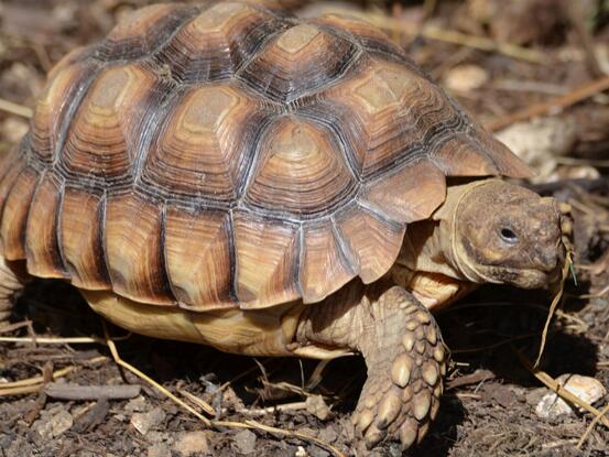 QQ截图20160805173400