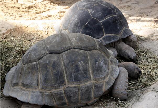 QQ截图20160805170812