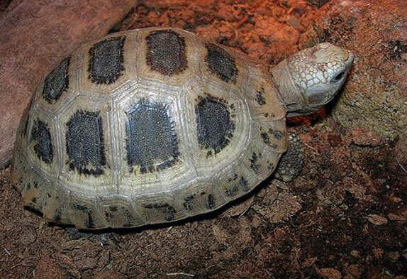 QQ截图20160805163835