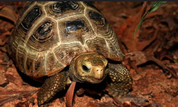 QQ截图20160805164455