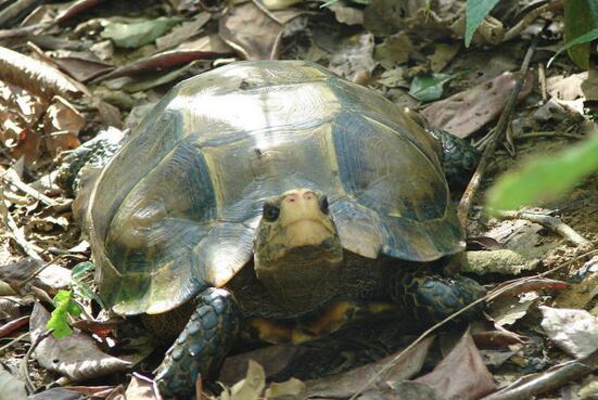 QQ截图20160805174911