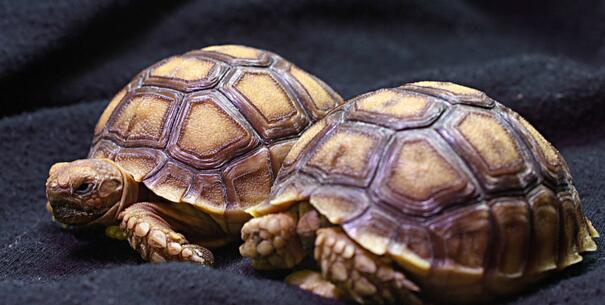 QQ截图20160805173830