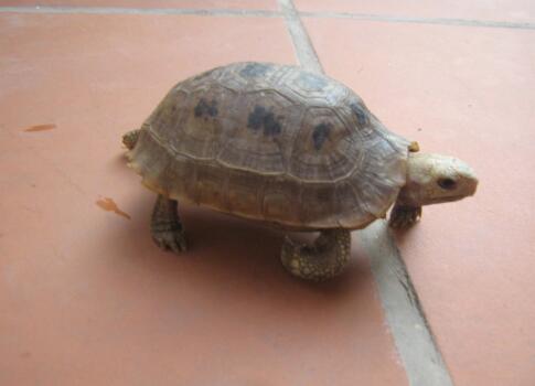 QQ截图20160805163828