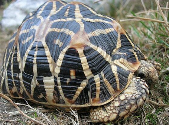 QQ截图20160805171620