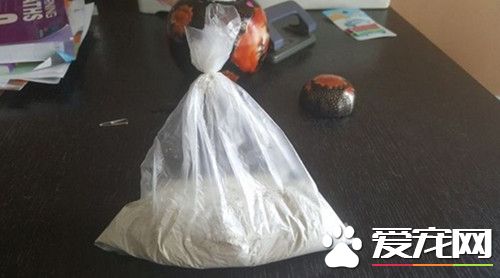 花高价火化爱犬遇诈骗 竟取回假骨灰