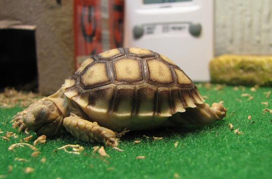 QQ截图20160805173350