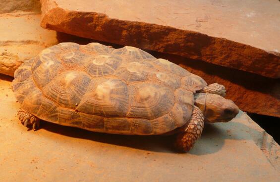 QQ截图20160805164811