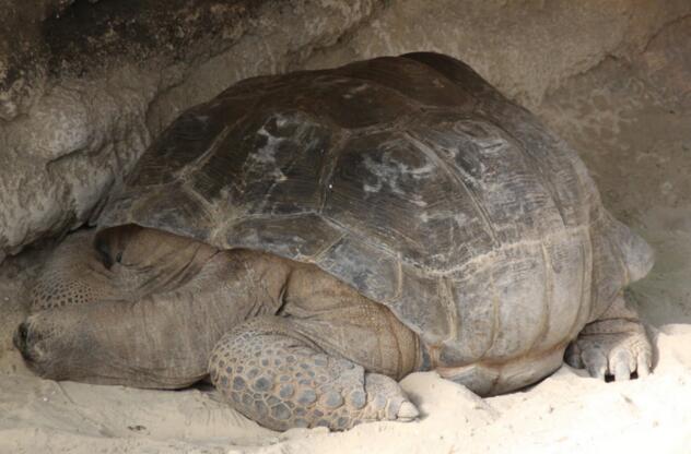 QQ截图20160805170825