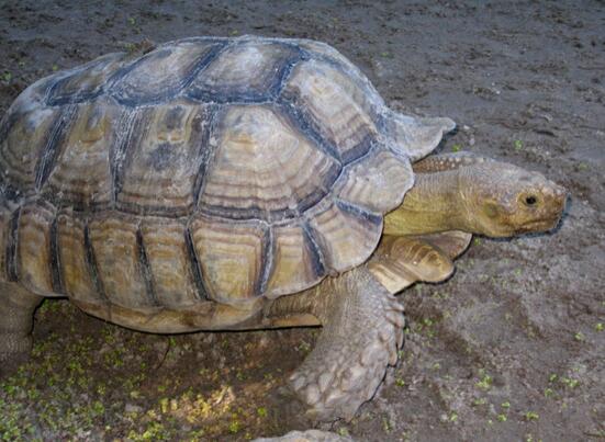 QQ截图20160805173406