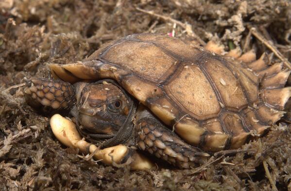 QQ截图20160805174727