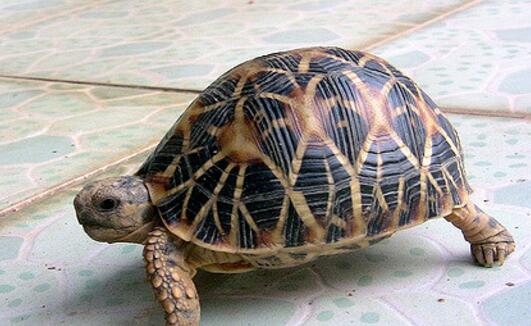 QQ截图20160805172127