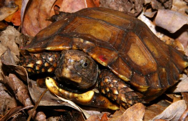 QQ截图20160805174722