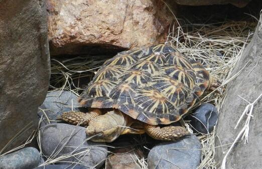 QQ截图20160805165414