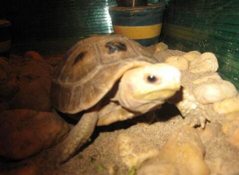 QQ截图20160805163820