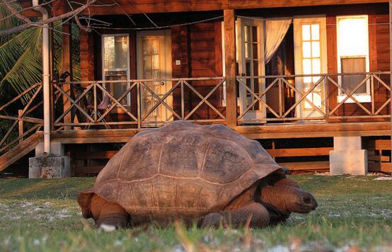 QQ截图20160805171330