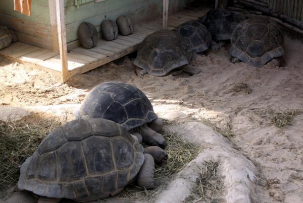 QQ截图20160805170818