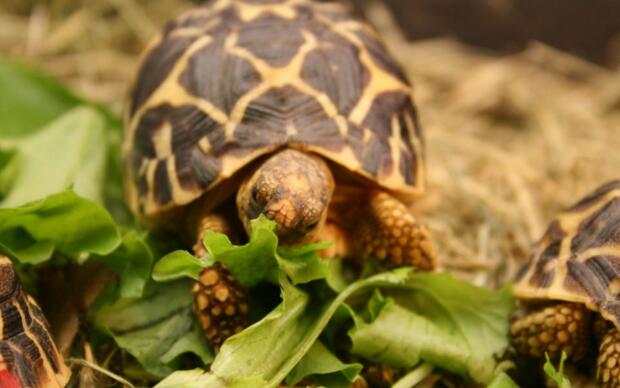 QQ截图20160805171614