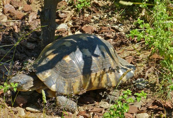 QQ截图20160808173642