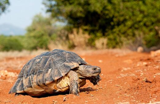 QQ截图20160808173254