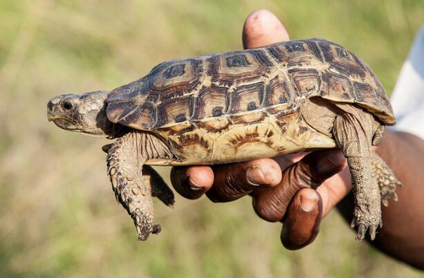 QQ截图20160808171634