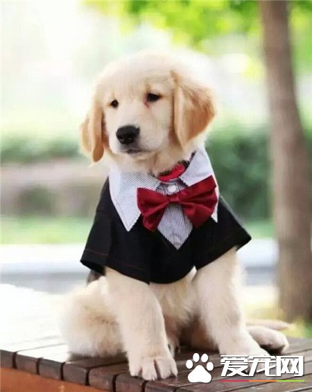 麻麻，你看我穿上新衣服帅不帅？