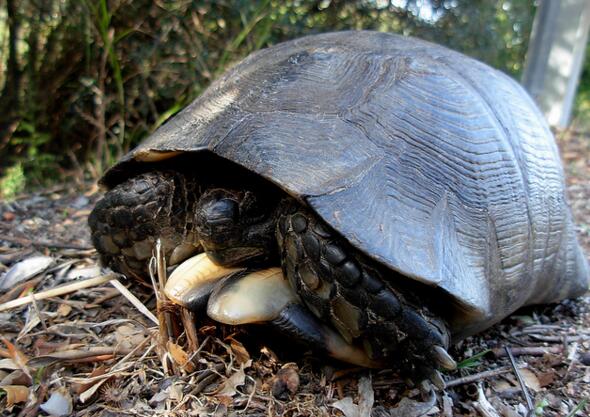 QQ截图20160808173300