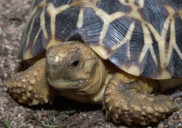 QQ截图20160808171105