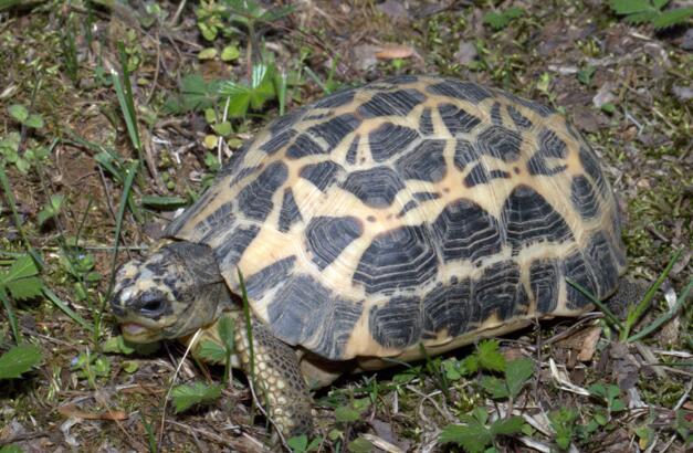 QQ截图20160808173939