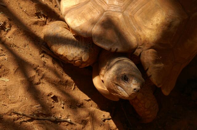 QQ截图20160808160855