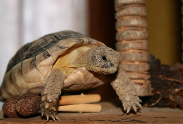 QQ截图20160808173249