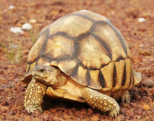 QQ截图20160808160723