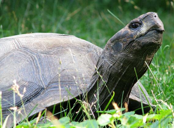 QQ截图20160809170913