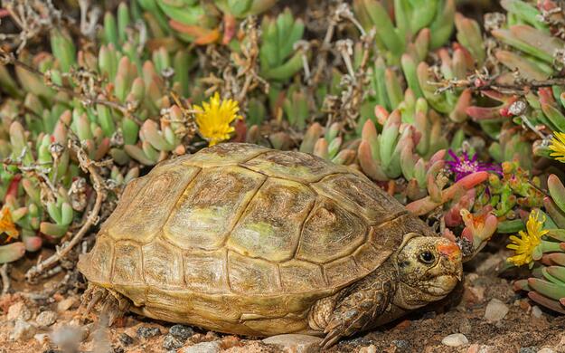 QQ截图20160809164256