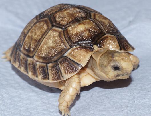 QQ截图20160809173123