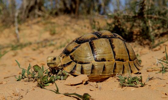 QQ截图20160809173118