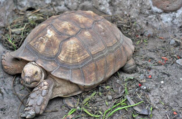 QQ截图20160809172213