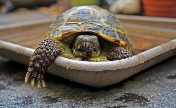 QQ截图20160809163922