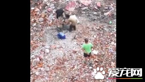 武汉两男残忍虐死贵宾狗 竟还剥皮吃肉