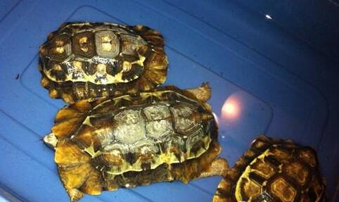 QQ截图20160809174450