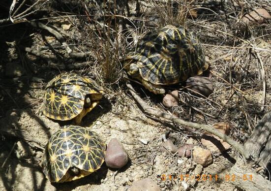 QQ截图20160809172521