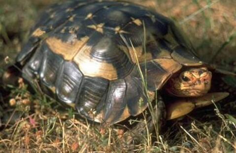 QQ截图20160809174441