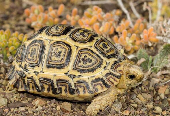 QQ截图20160809164156